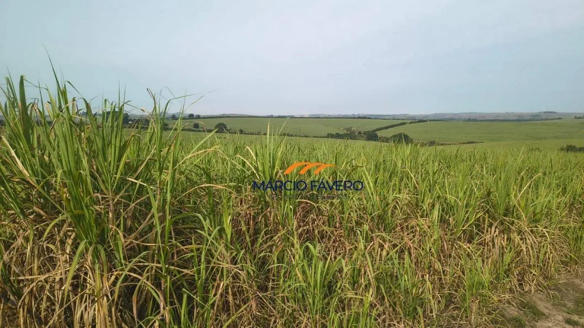 Fazenda à venda de 137 ha em São Pedro, SP, Brasil