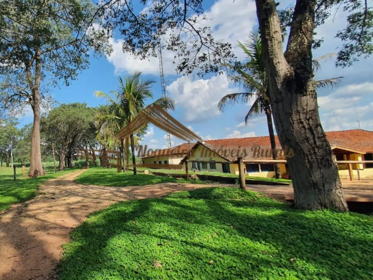 Fazenda à venda de 1.136 ha em Serra Azul, SP, Brasil