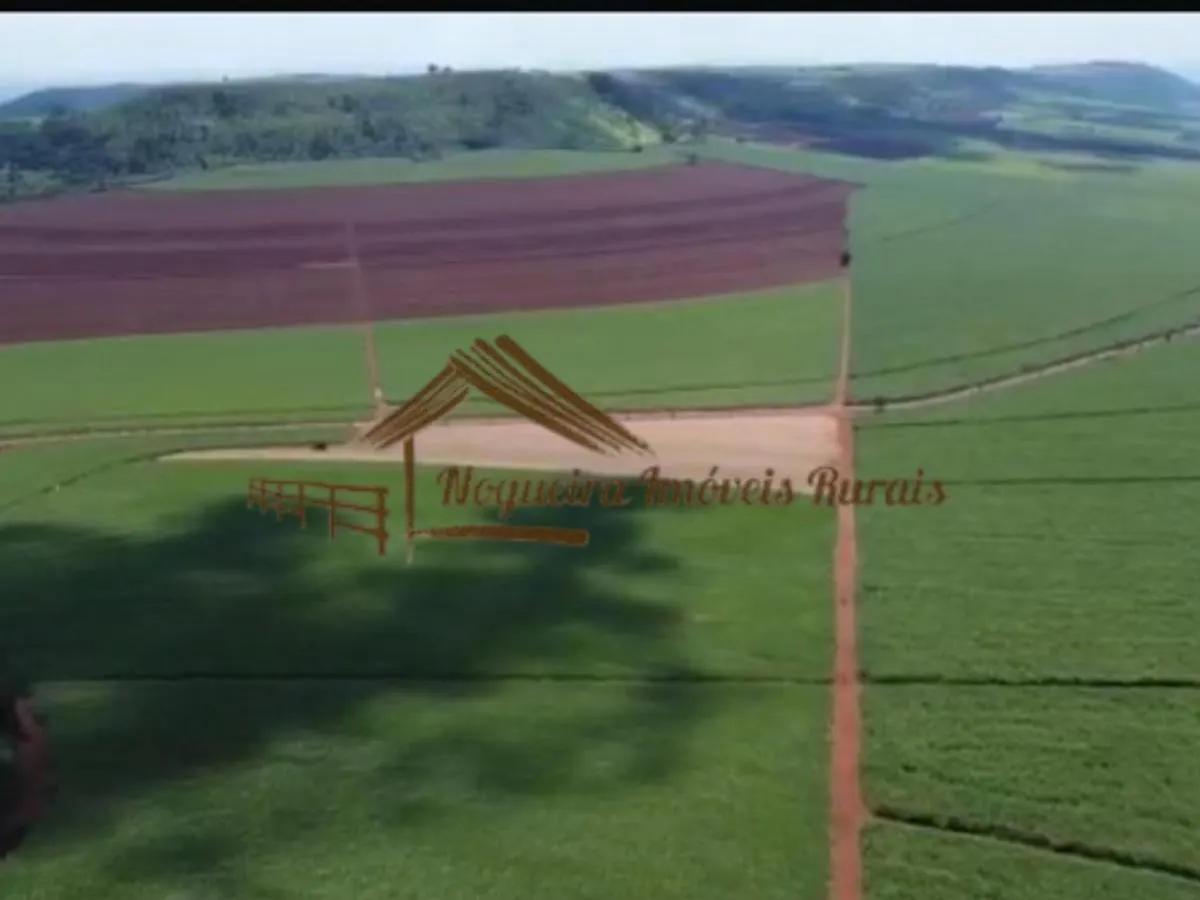 Fazenda à venda de 1.136 ha em Serra Azul, SP, Brasil