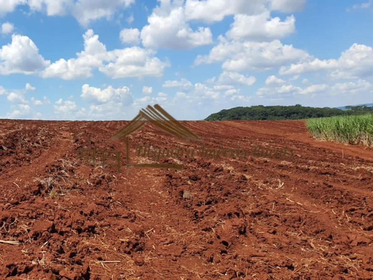 Fazenda à venda de 1.136 ha em Serra Azul, SP, Brasil