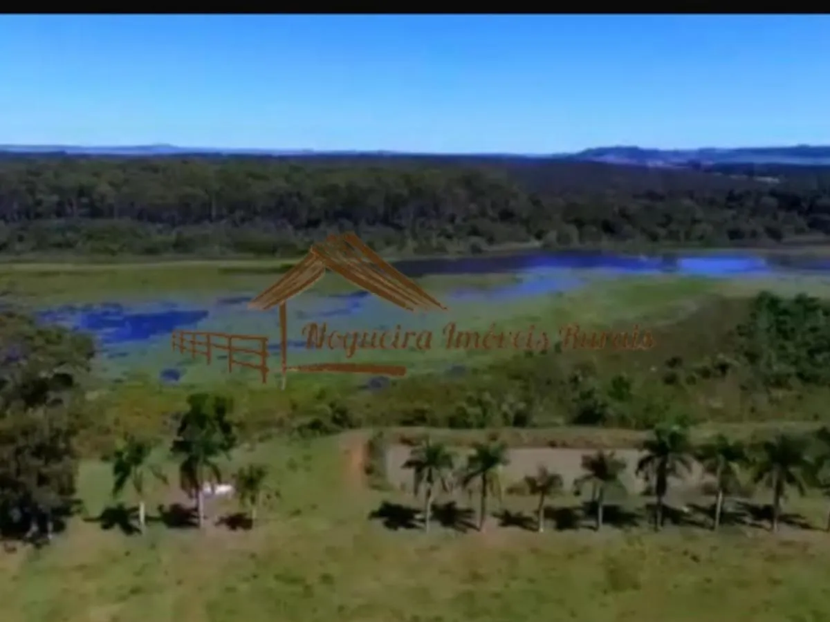 Fazenda à venda de 1.136 ha em Serra Azul, SP, Brasil
