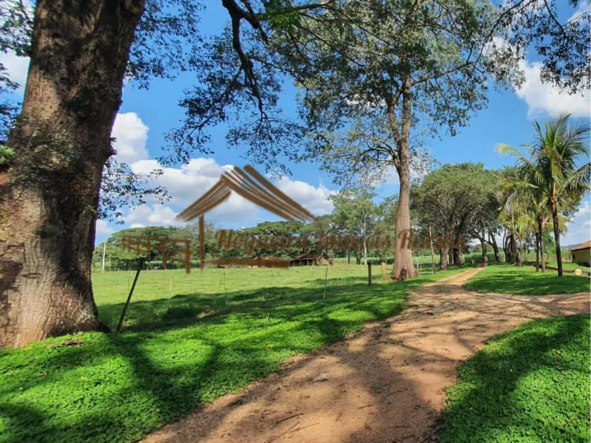 Fazenda à venda de 1.136 ha em Serra Azul, SP, Brasil