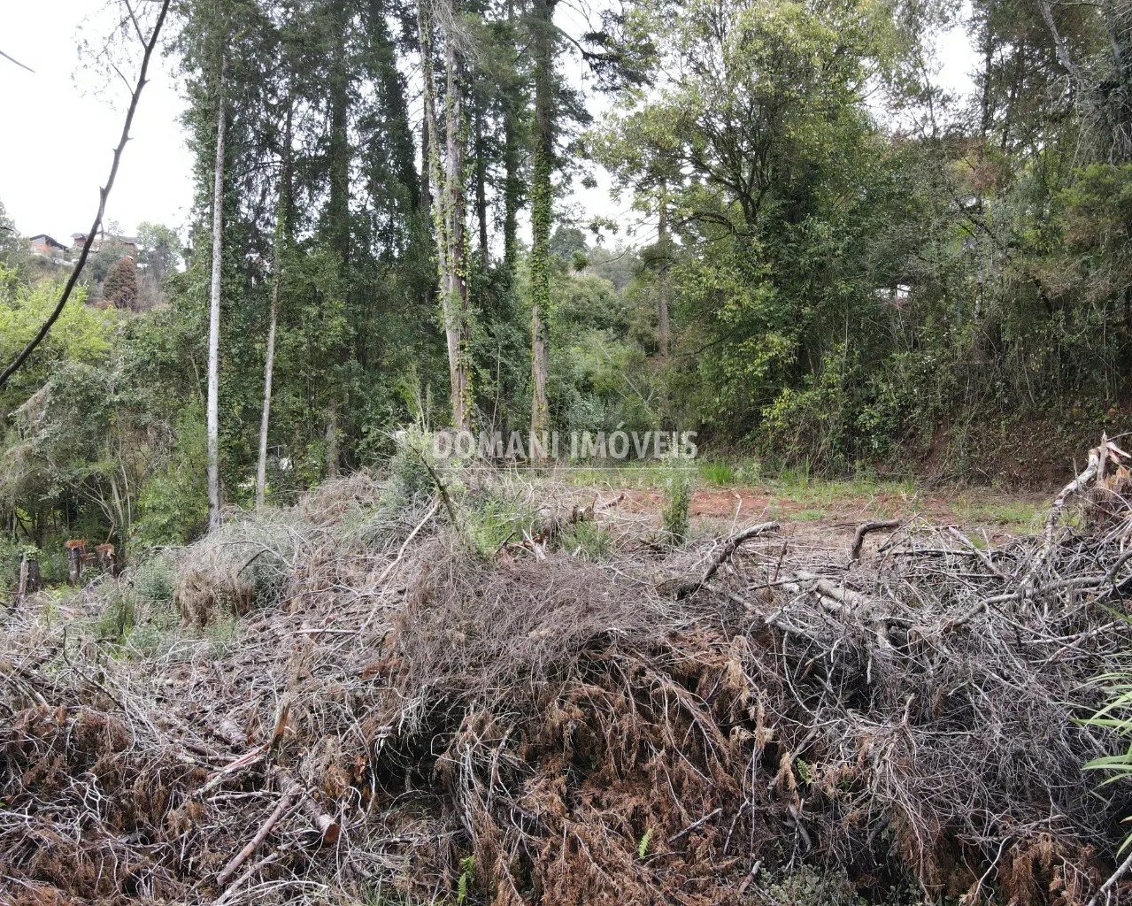 Terreno à venda de 1.100 m² em Campos do Jordão, SP, Brasil