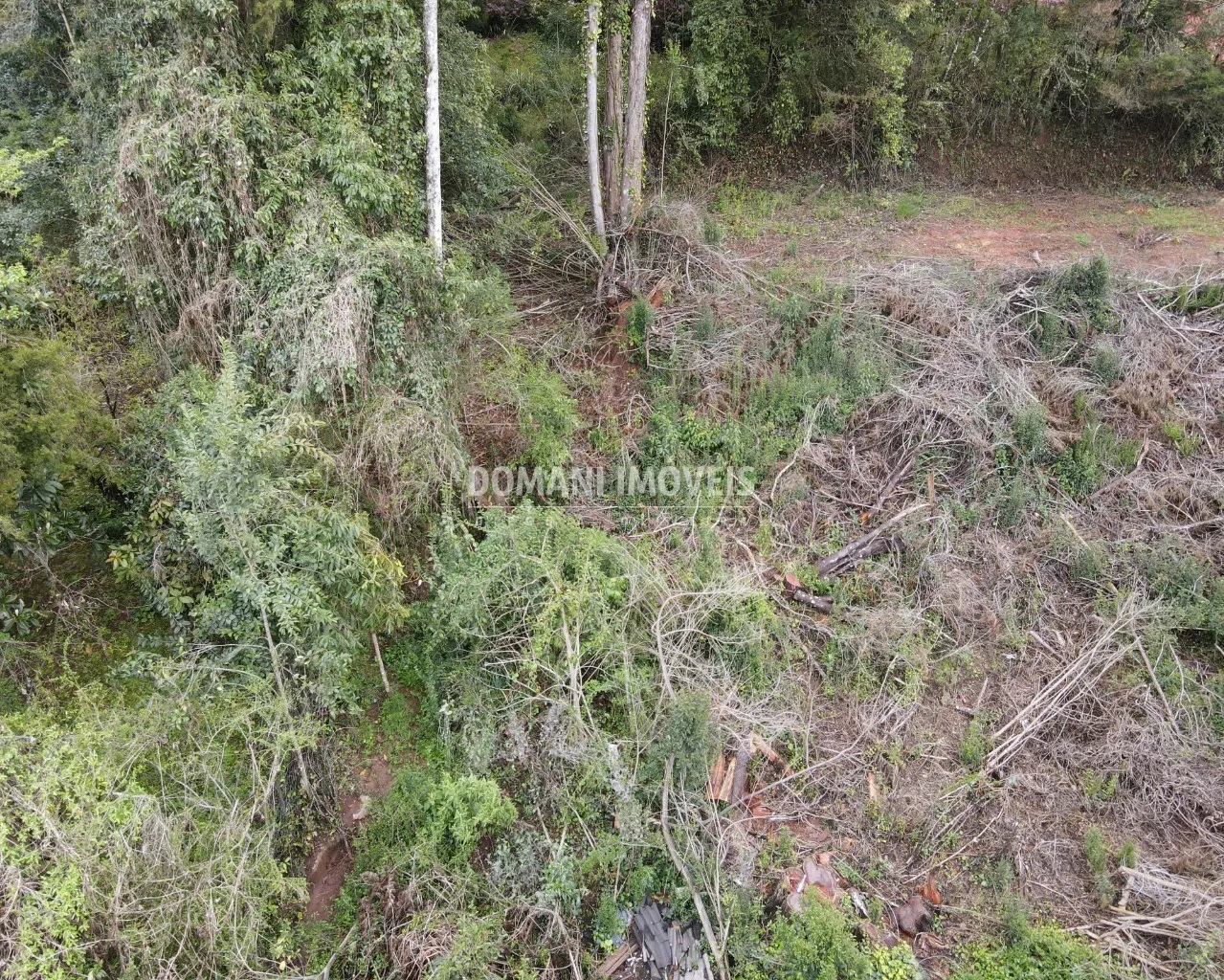 Terreno à venda de 1.100 m² em Campos do Jordão, SP, Brasil