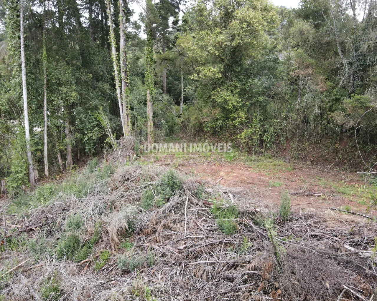 Terreno à venda de 1.100 m² em Campos do Jordão, SP, Brasil