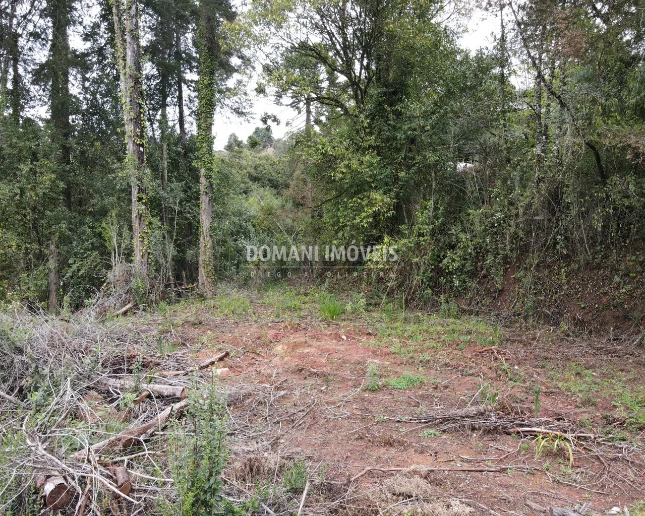 Terreno à venda de 1.100 m² em Campos do Jordão, SP, Brasil
