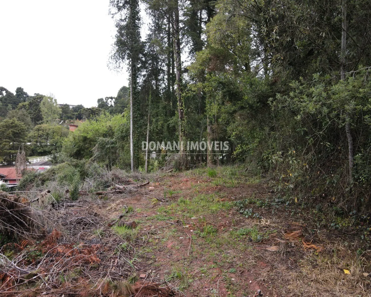 Terreno à venda de 1.100 m² em Campos do Jordão, SP, Brasil