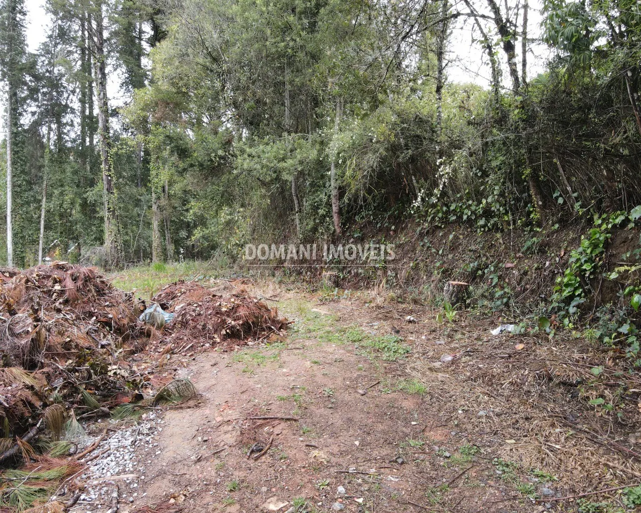 Terreno à venda de 1.100 m² em Campos do Jordão, SP, Brasil