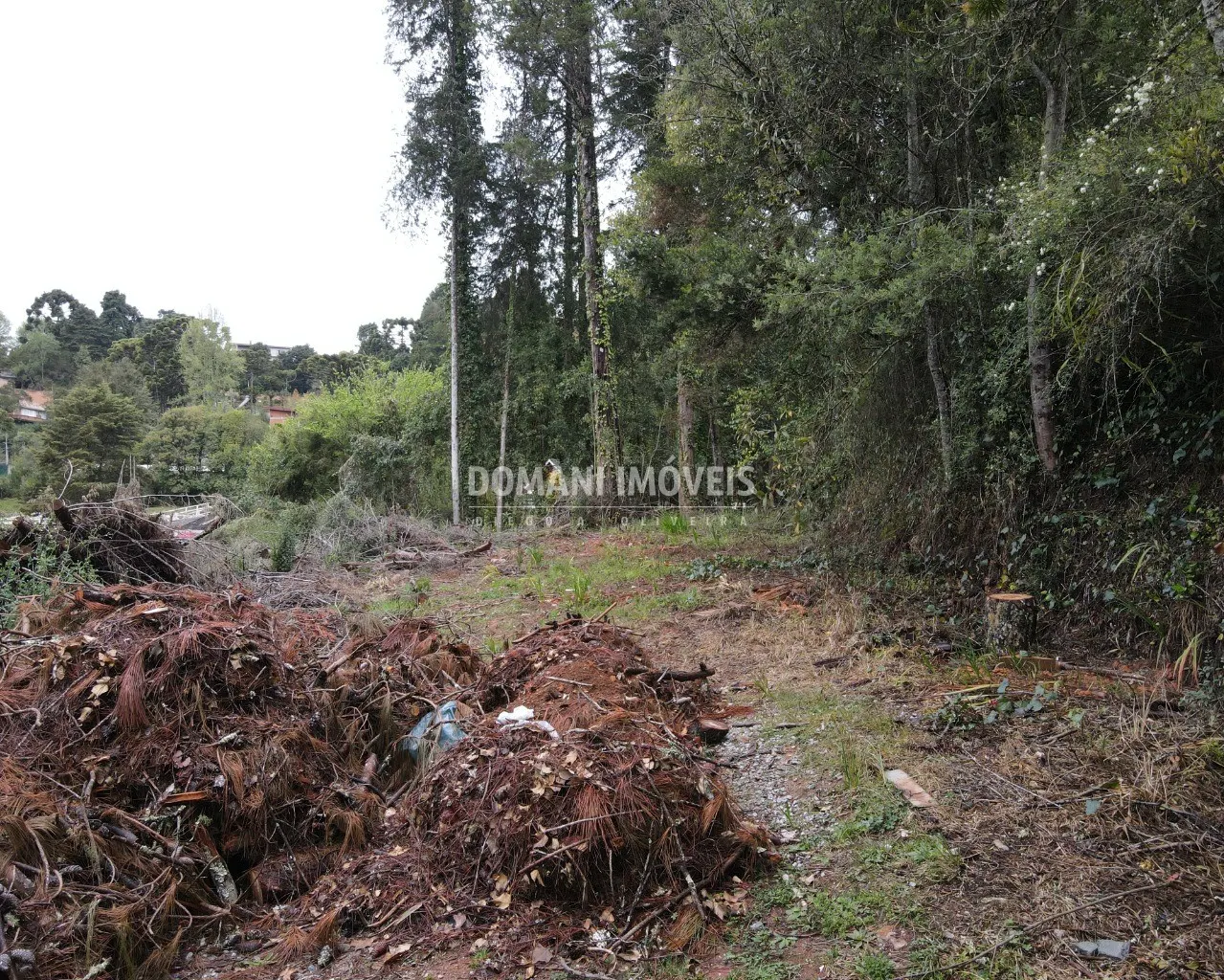 Terreno à venda de 1.100 m² em Campos do Jordão, SP, Brasil