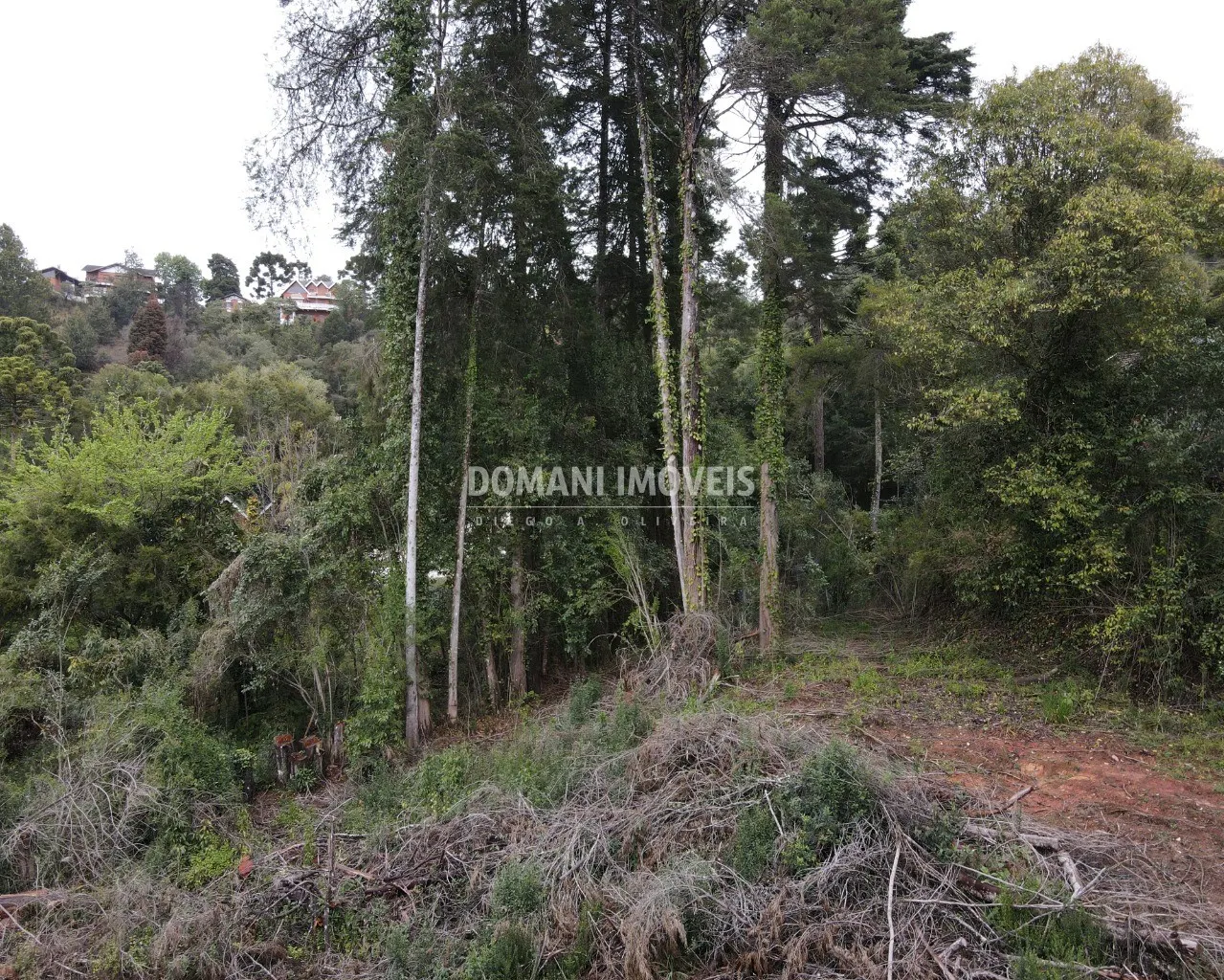 Terreno à venda de 1.100 m² em Campos do Jordão, SP, Brasil