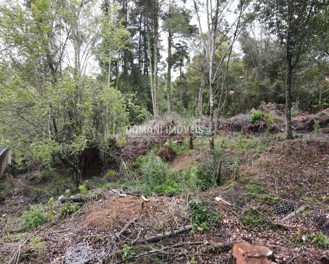 Terreno à venda de 1.100 m² em Campos do Jordão, SP, Brasil