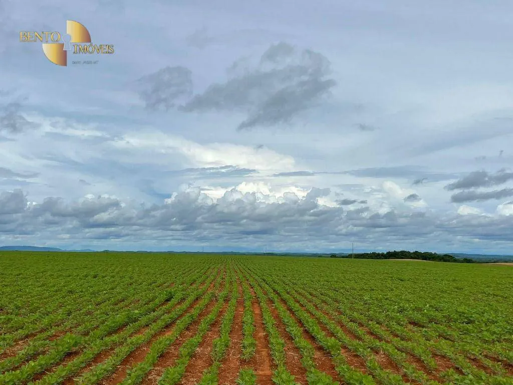 Fazenda à venda de 1.145 ha em Diamantino, MT, Brasil