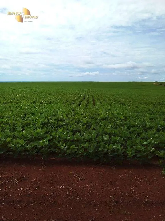 Fazenda à venda de 1.145 ha em Diamantino, MT, Brasil