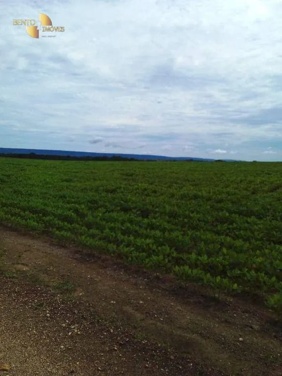 Fazenda à venda de 1.145 ha em Diamantino, MT, Brasil