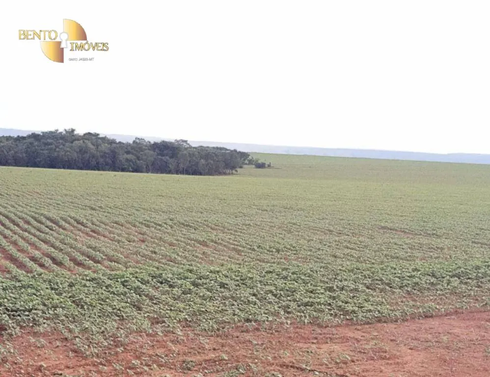 Fazenda à venda de 1.145 ha em Diamantino, MT, Brasil