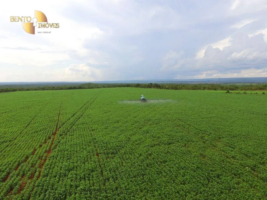 Fazenda à venda de 1.145 ha em Diamantino, MT, Brasil
