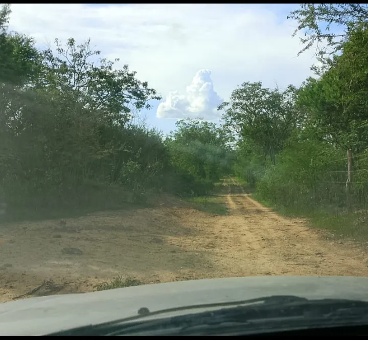 Terreno à venda e para Arrendar de 17 ha em Ibotirama, BA, Brasil