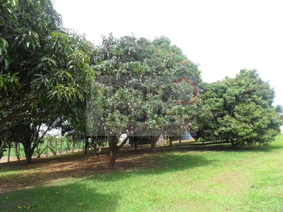 Chácara à venda de 2 ha em Caçapava, SP, Brasil