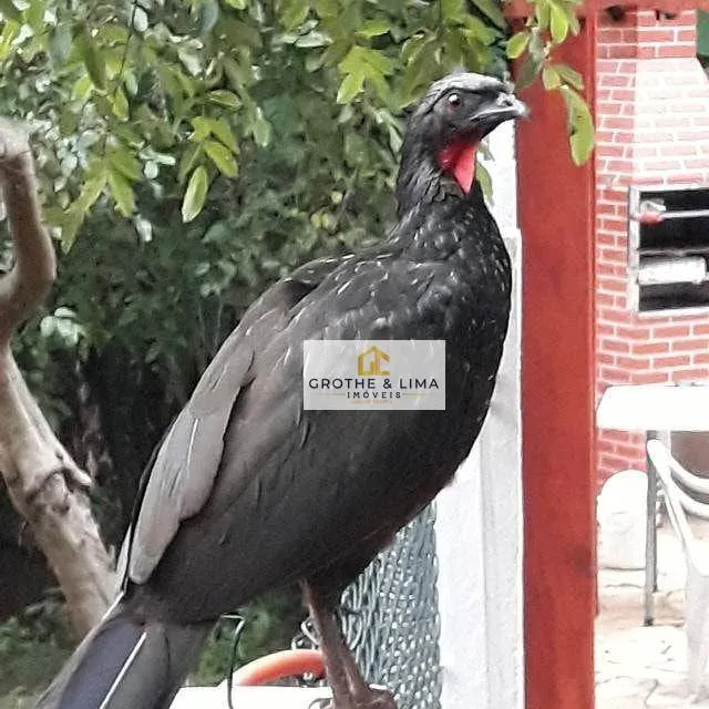 Chácara à venda de 2 ha em São José dos Campos, SP, Brasil