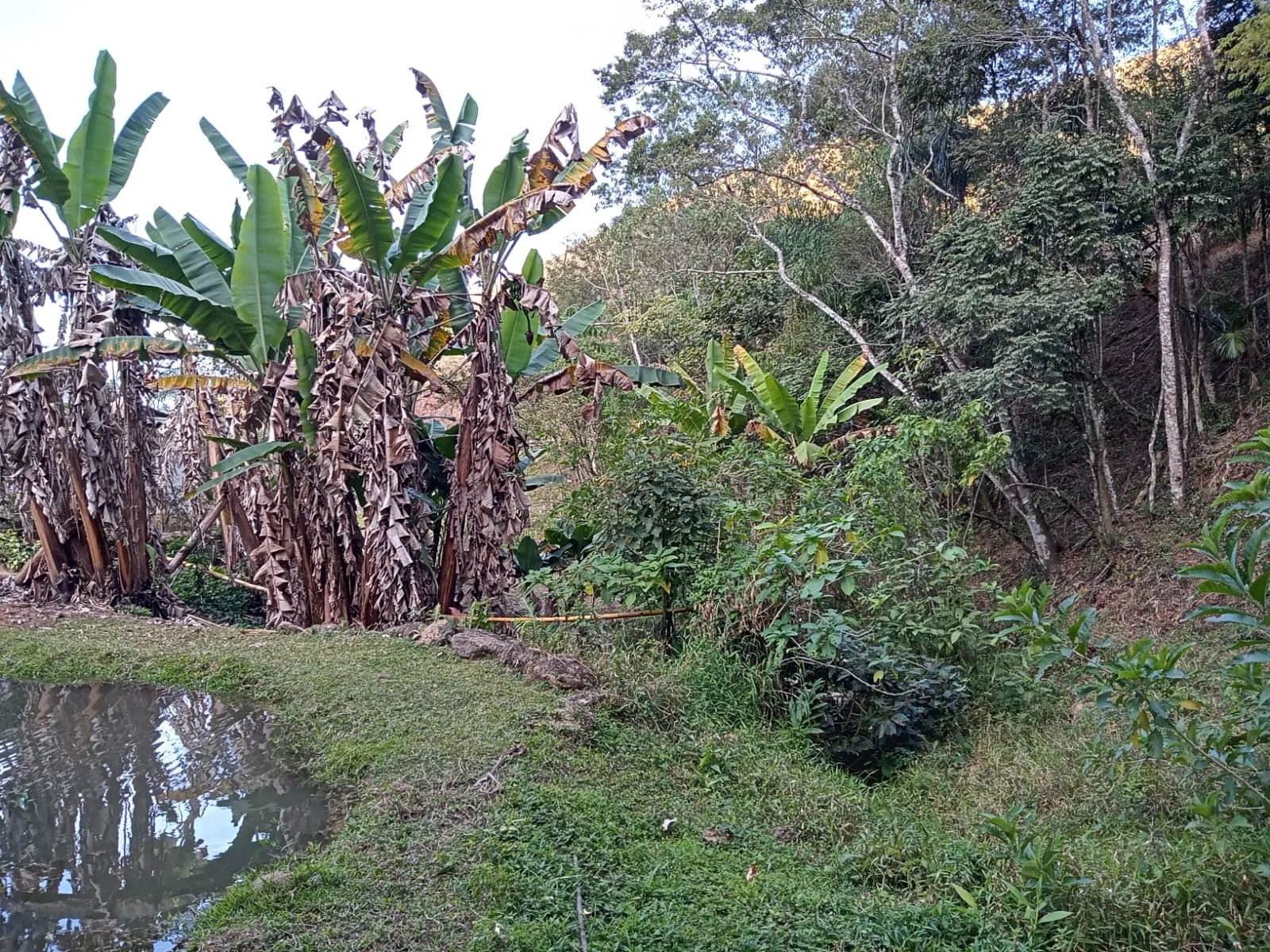 Sítio à venda de 19 ha em São José dos Campos, SP, Brasil