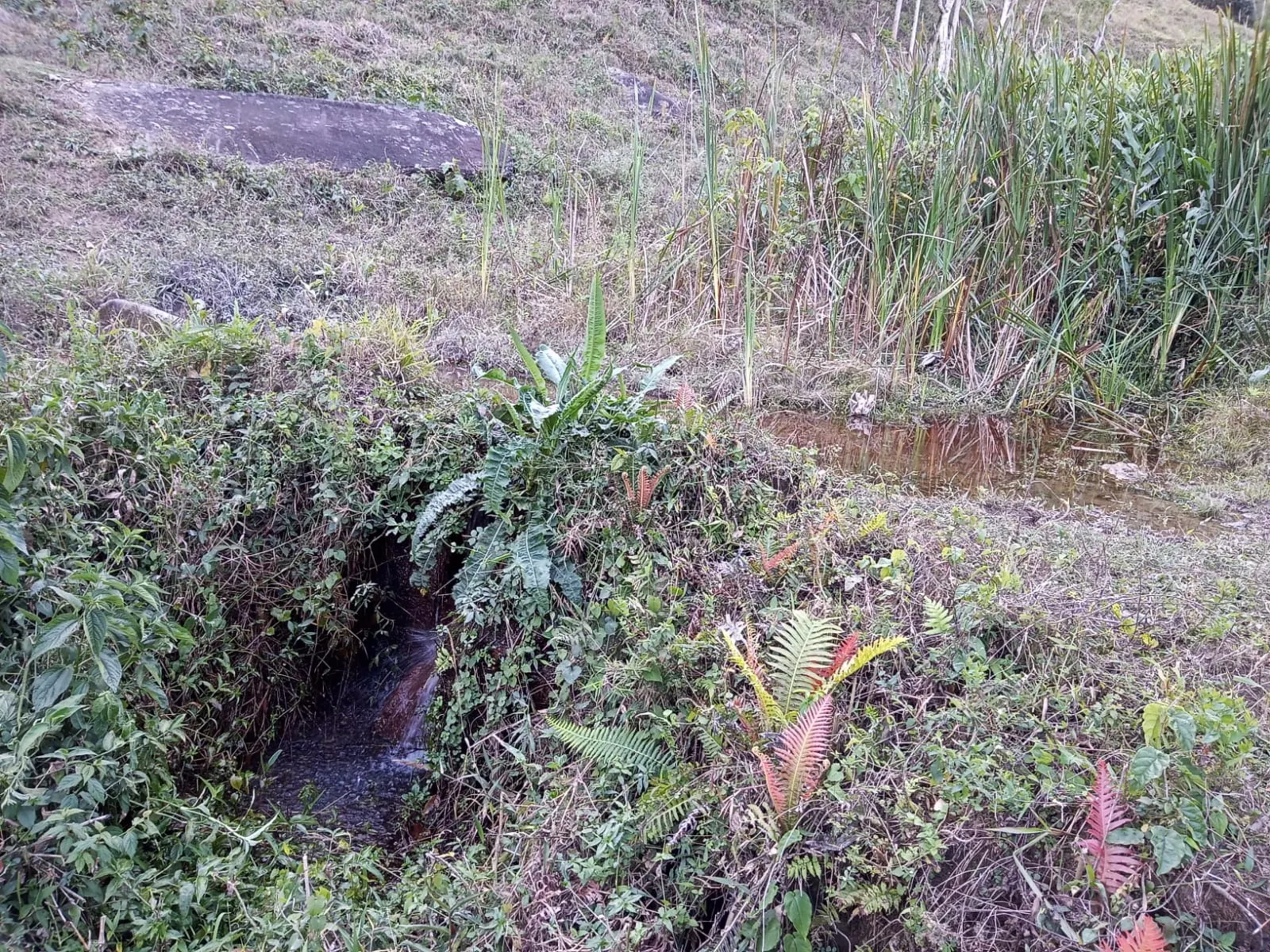 Sítio à venda de 19 ha em São José dos Campos, SP, Brasil