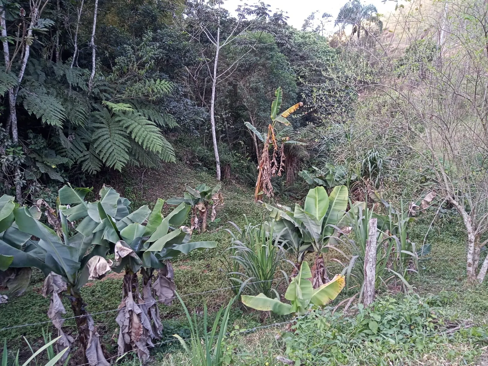 Sítio à venda de 19 ha em São José dos Campos, SP, Brasil