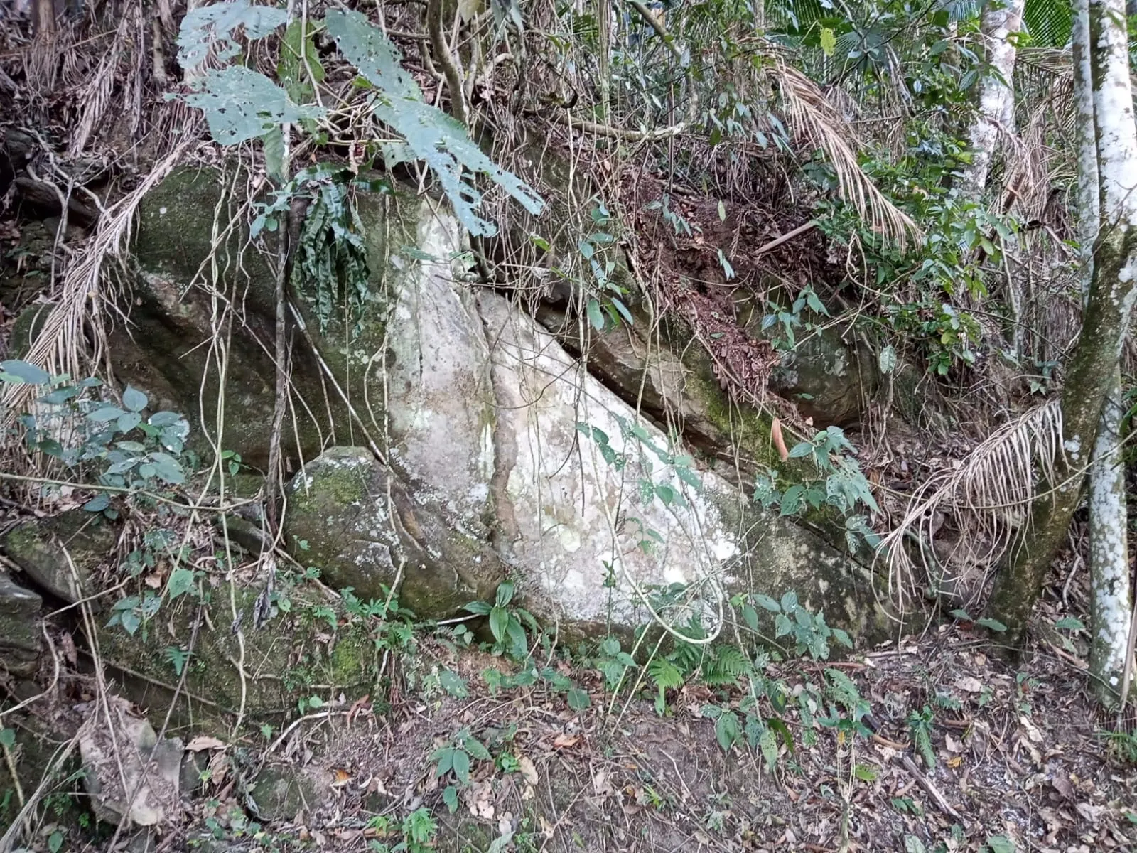 Sítio à venda de 19 ha em São José dos Campos, SP, Brasil