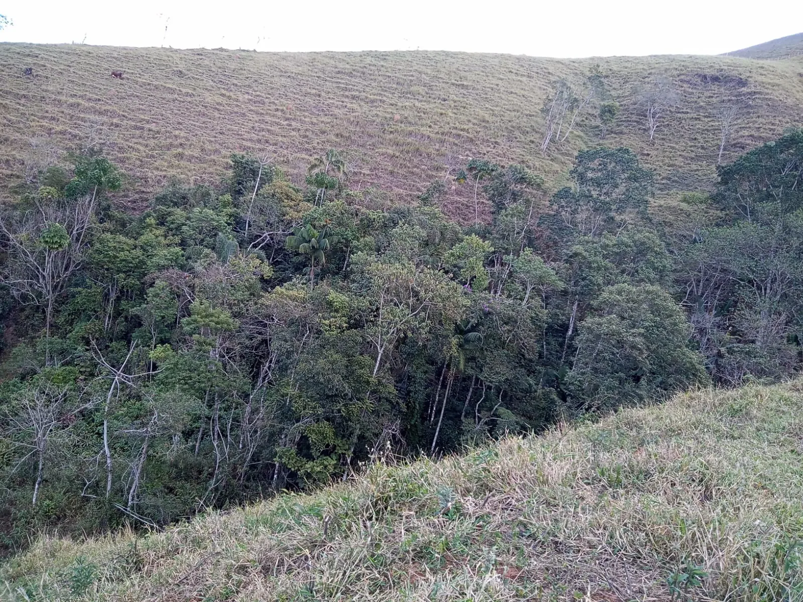 Sítio à venda de 19 ha em São José dos Campos, SP, Brasil
