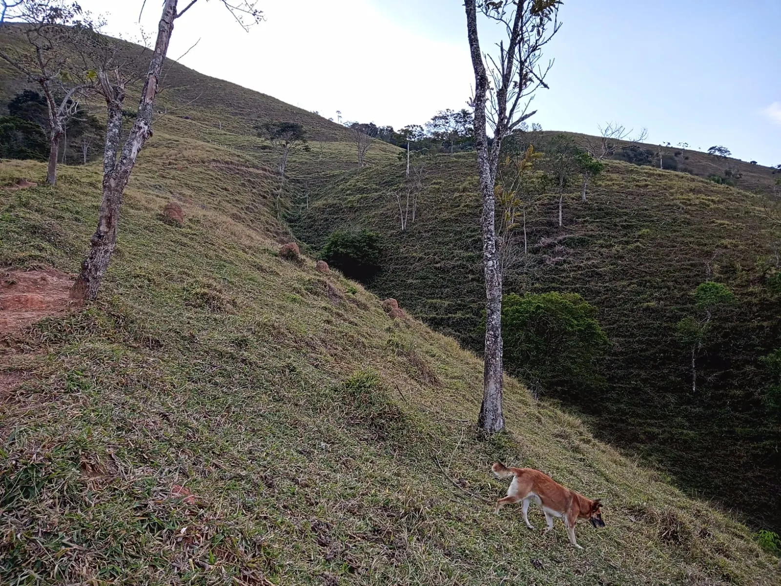 Sítio à venda de 19 ha em São José dos Campos, SP, Brasil