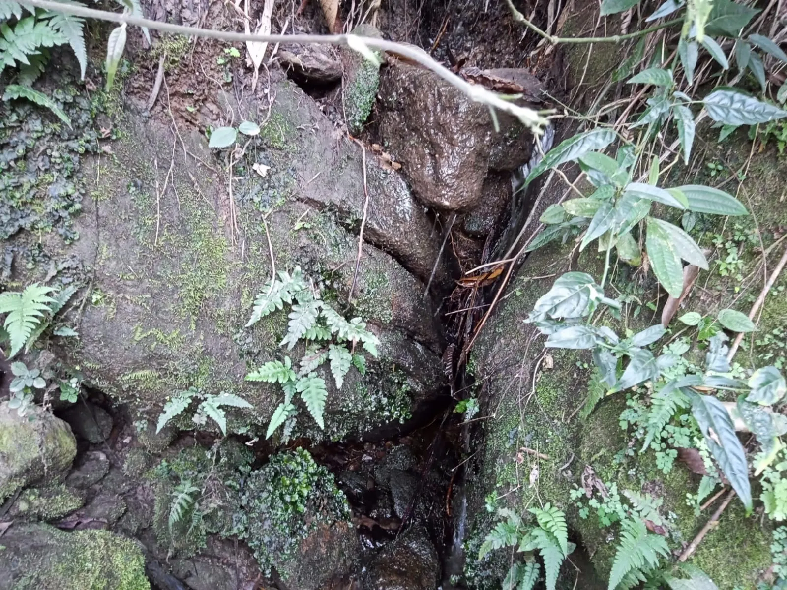 Sítio à venda de 19 ha em São José dos Campos, SP, Brasil