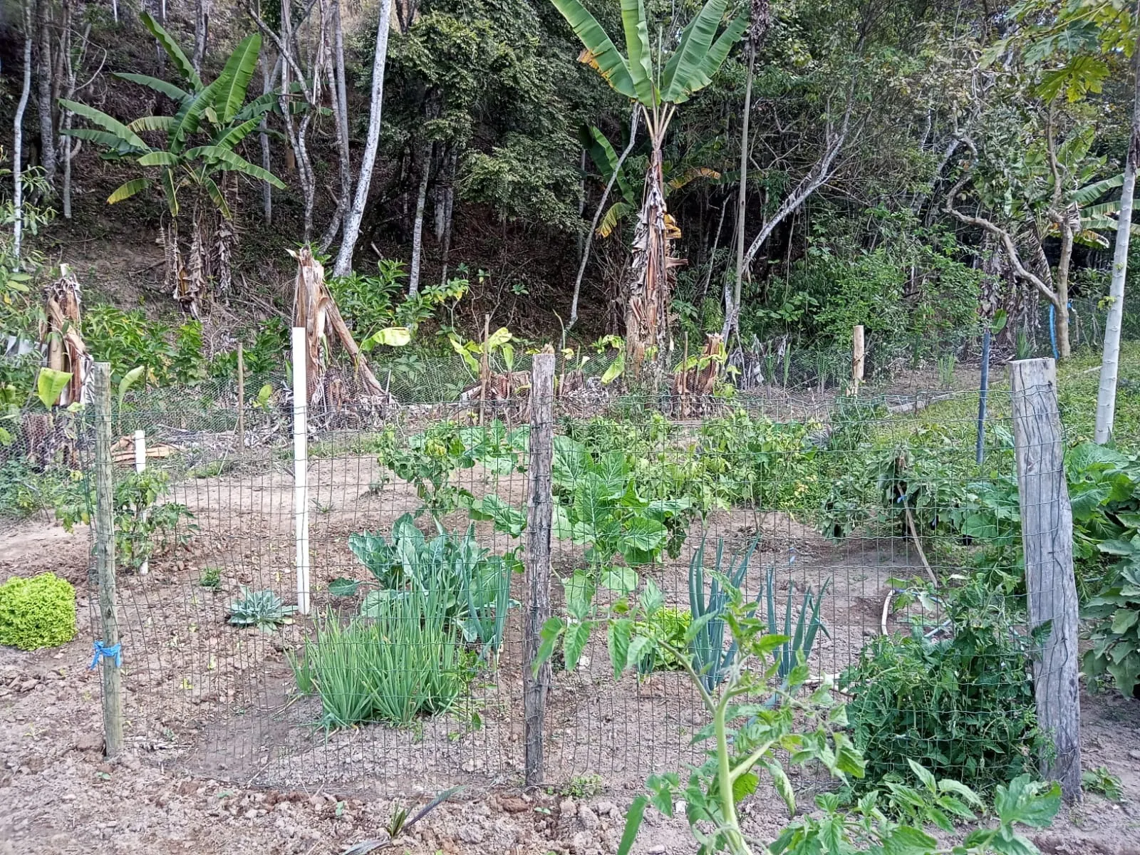 Sítio à venda de 19 ha em São José dos Campos, SP, Brasil