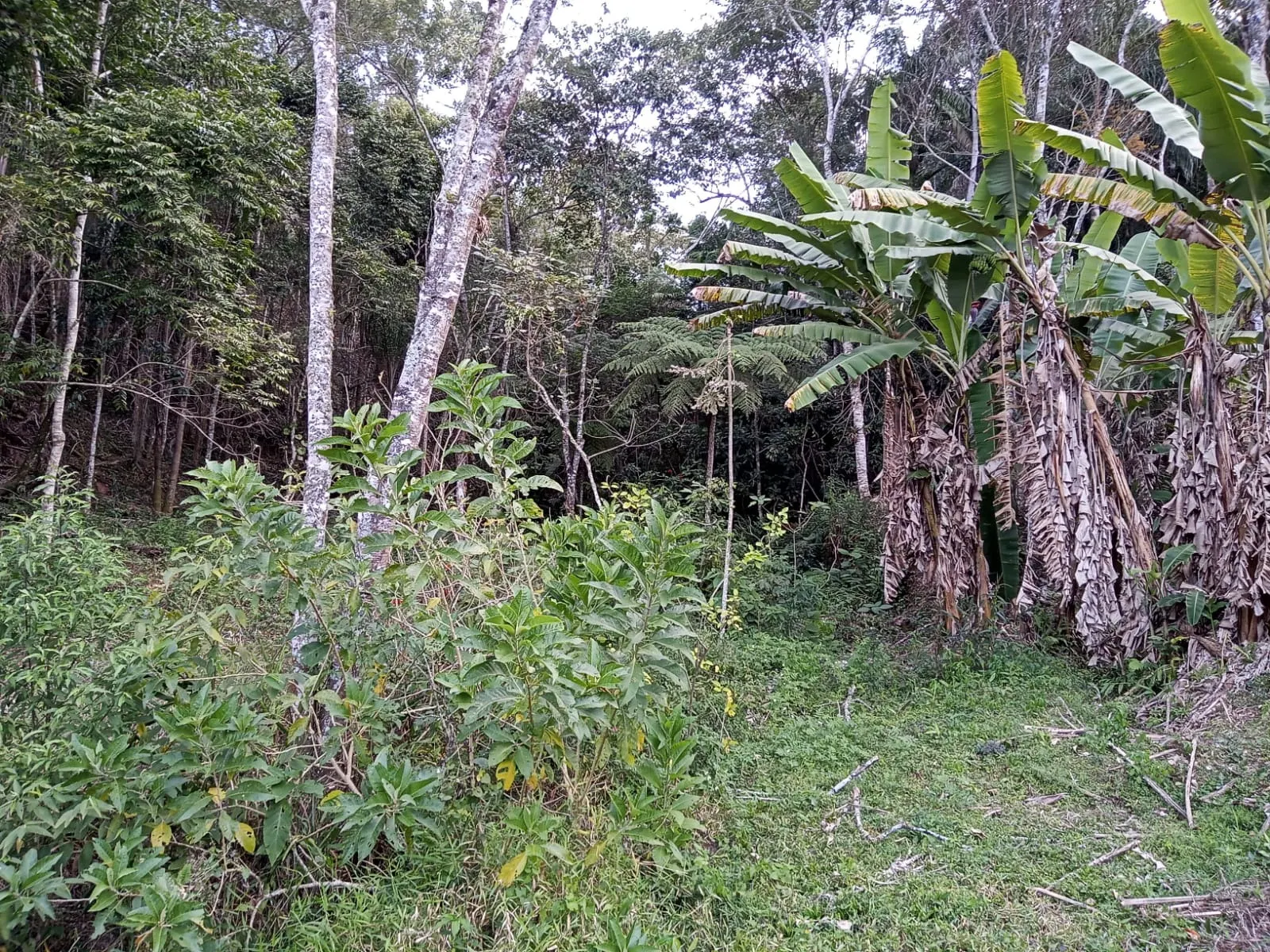 Sítio à venda de 19 ha em São José dos Campos, SP, Brasil