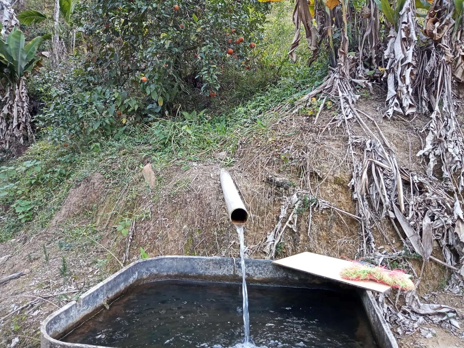 Sítio à venda de 19 ha em São José dos Campos, SP, Brasil