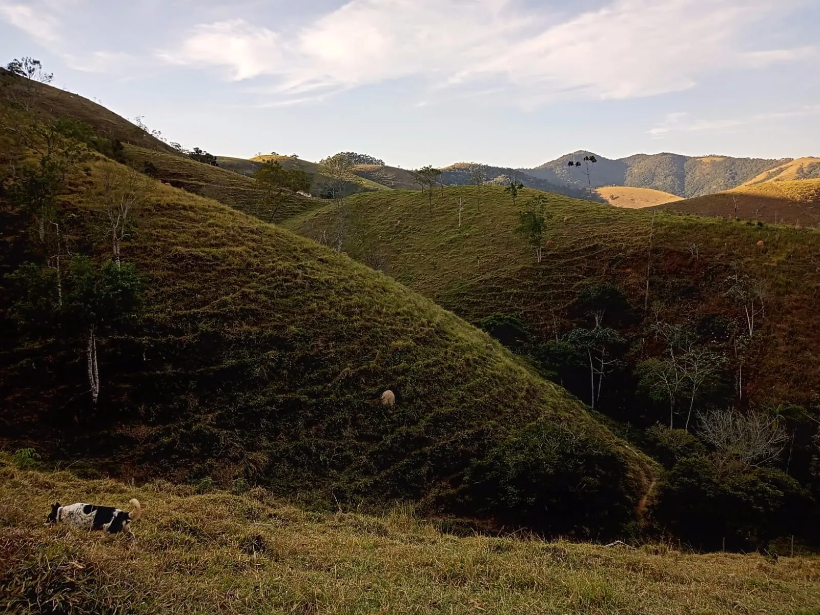 Sítio à venda de 19 ha em São José dos Campos, SP, Brasil