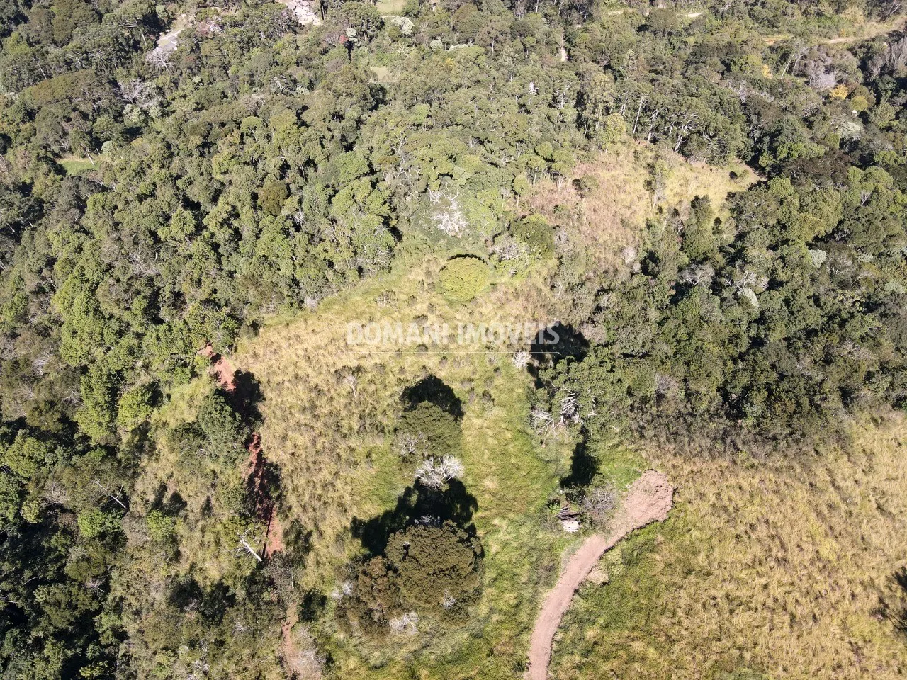 Sítio à venda de 23 ha em São Bento do Sapucaí, SP, Brasil
