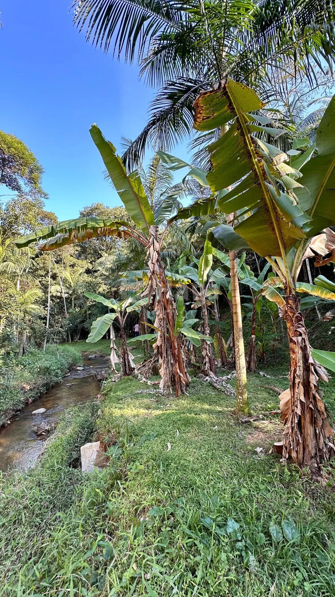 Chácara à venda de 3.000 m² em Tijucas, SC, Brasil