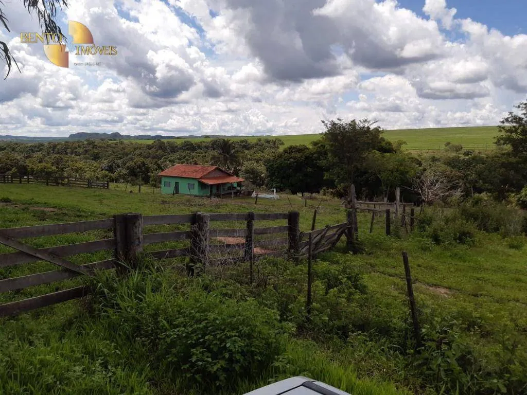 Fazenda à venda de 260 ha em Rondonópolis, MT, Brasil