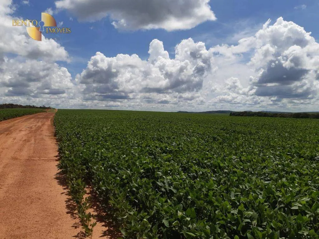 Fazenda à venda de 260 ha em Rondonópolis, MT, Brasil