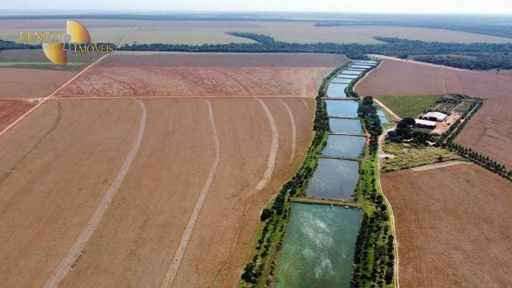 Fazenda à venda de 2.100 ha em São José do Rio Claro, MT, Brasil