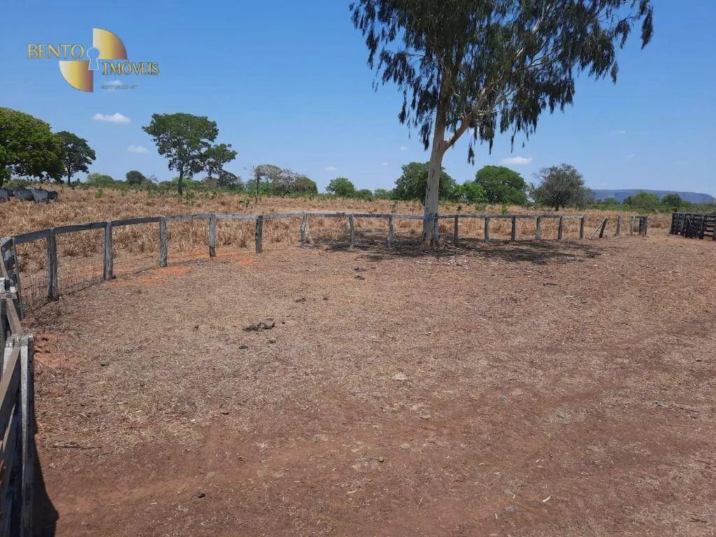 Fazenda à venda de 2.100 ha em São José do Rio Claro, MT, Brasil