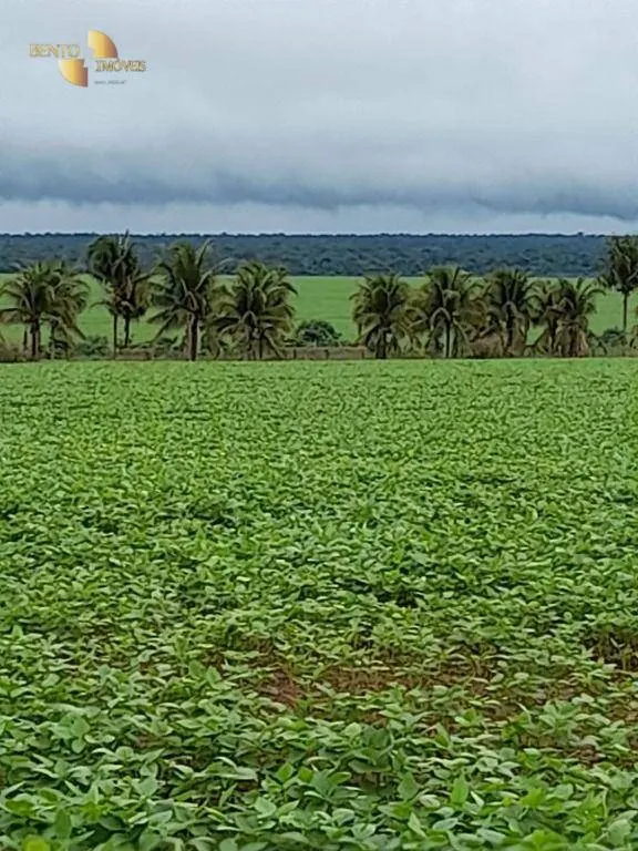 Fazenda à venda de 2.100 ha em São José do Rio Claro, MT, Brasil