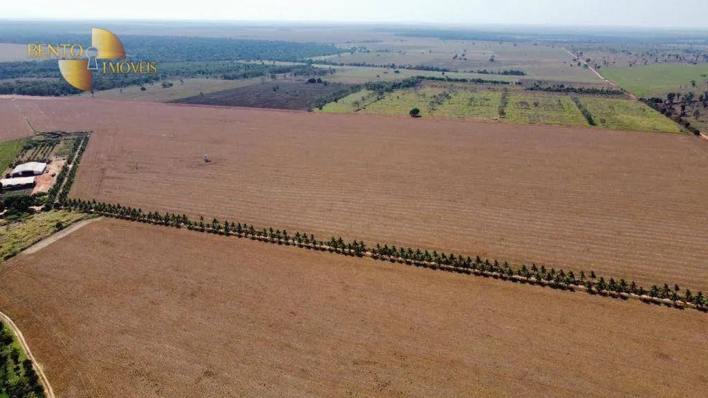 Fazenda à venda de 2.100 ha em São José do Rio Claro, MT, Brasil