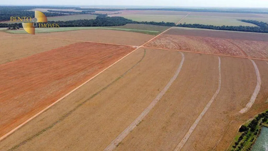 Fazenda à venda de 2.100 ha em São José do Rio Claro, MT, Brasil