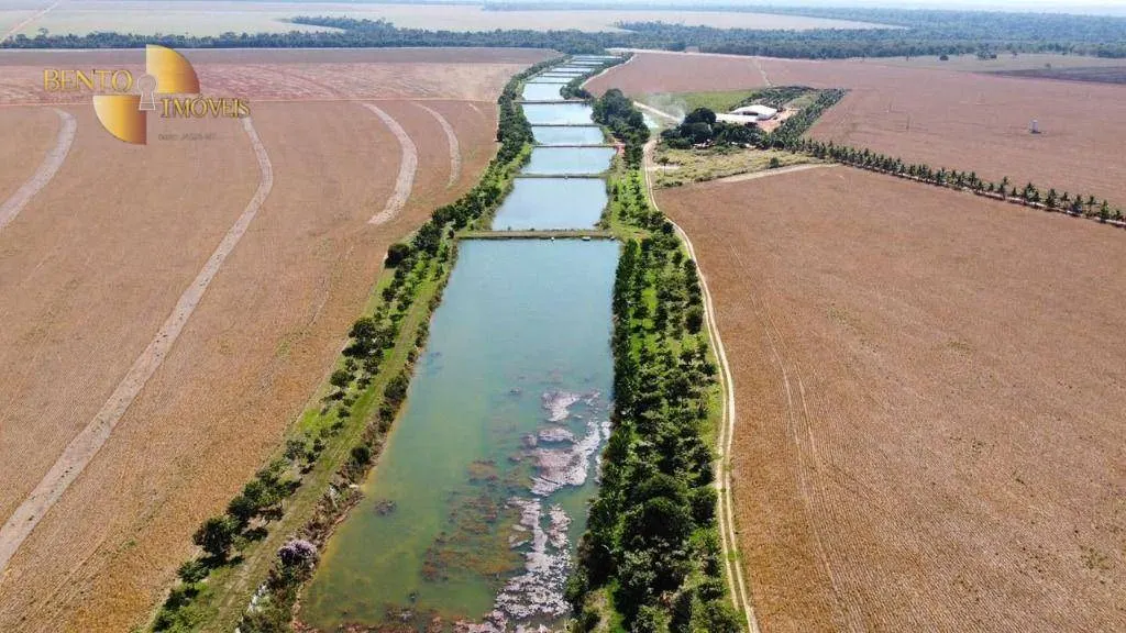 Fazenda à venda de 2.100 ha em São José do Rio Claro, MT, Brasil