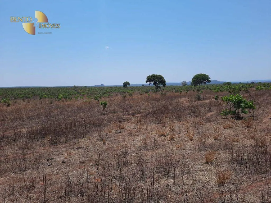 Fazenda à venda de 2.100 ha em São José do Rio Claro, MT, Brasil