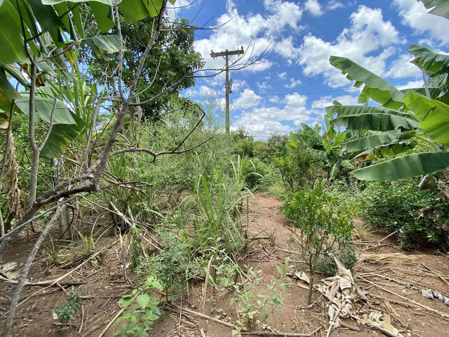 Chácara à venda de 1.351 m² em Piraju, SP, Brasil
