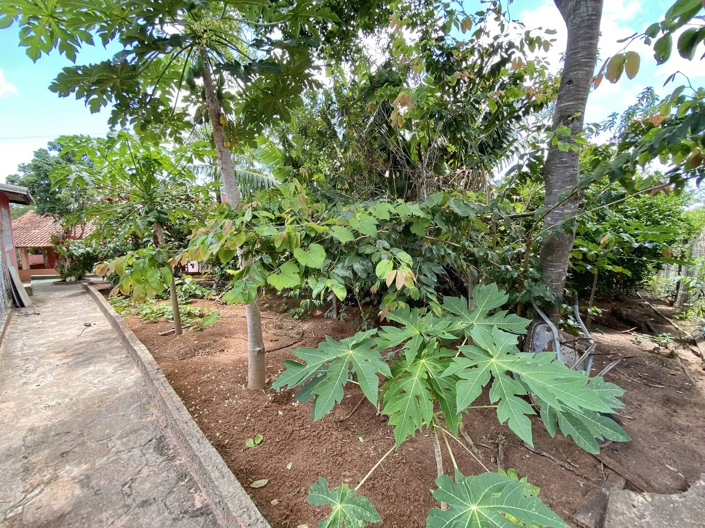 Chácara à venda de 1.351 m² em Piraju, SP, Brasil