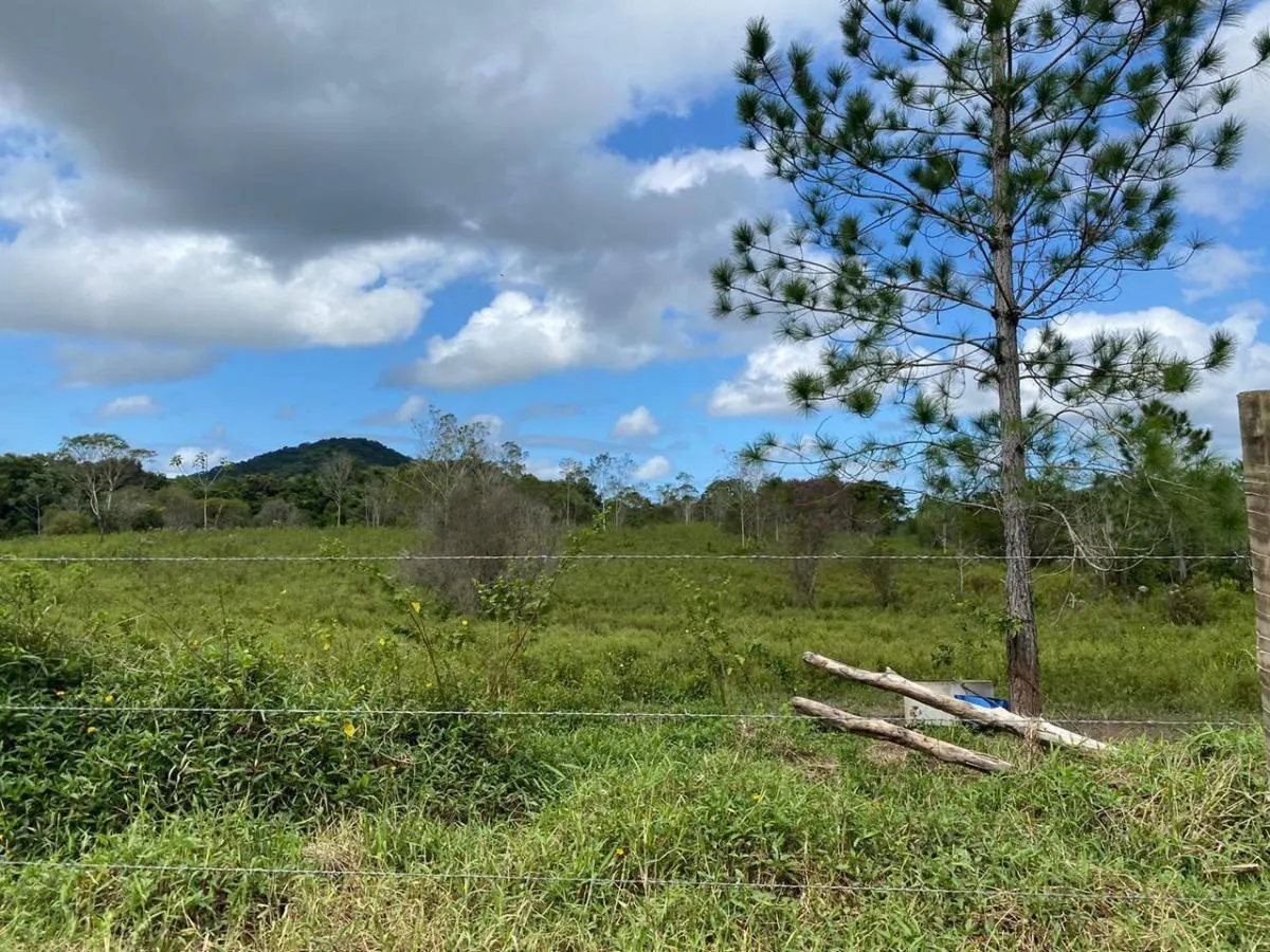 Fazenda à venda de 61 ha em Miracatu, SP, Brasil