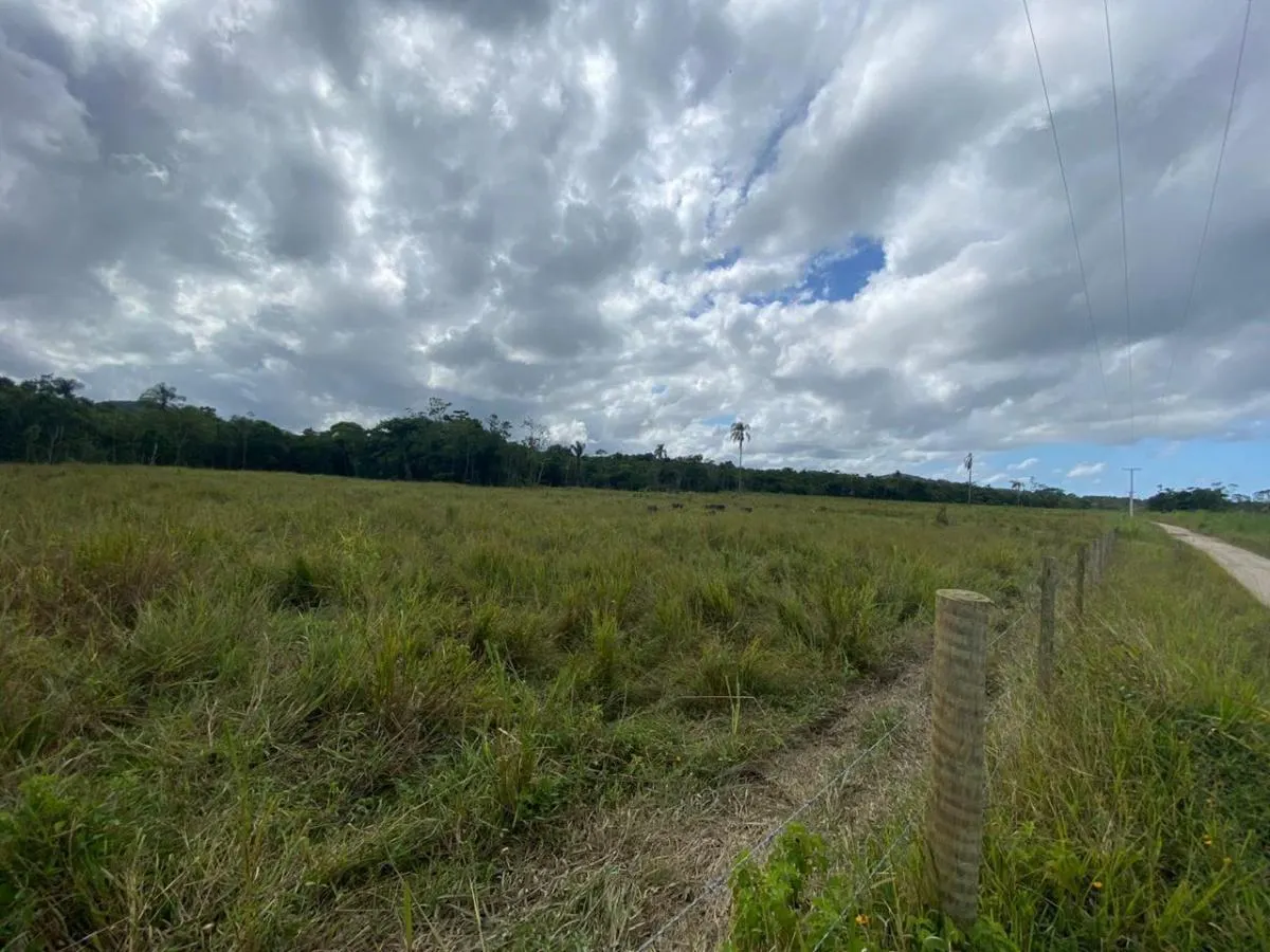 Fazenda à venda de 61 ha em Miracatu, SP, Brasil