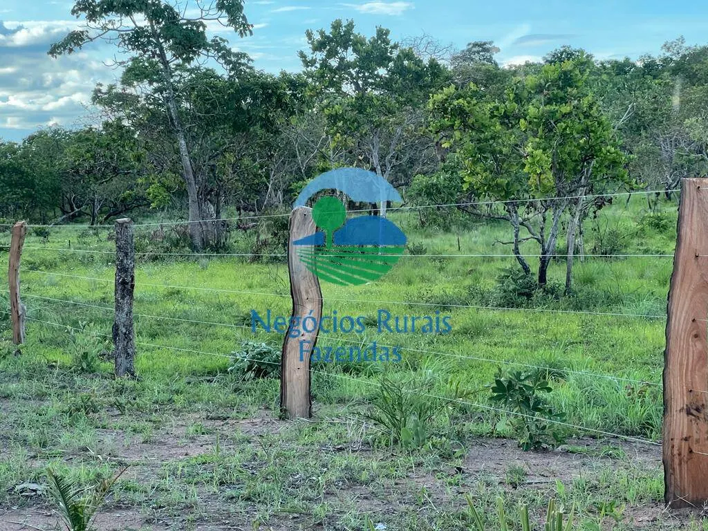 Farm for sale of 11,960 acres in Taipas do Tocantins, TO, Brazil